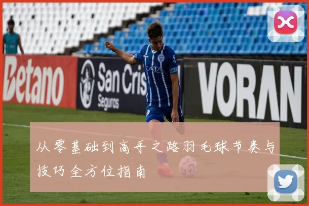 从零基础到高手之路羽毛球节奏与技巧全方位指南