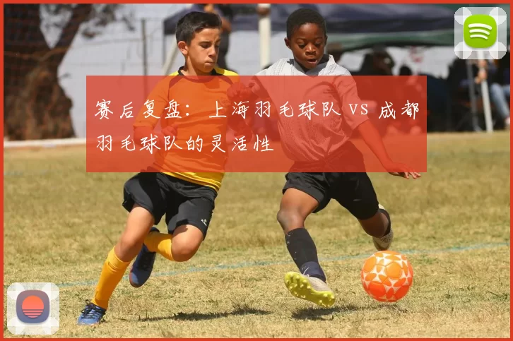 赛后复盘：上海羽毛球队 vs 成都羽毛球队的灵活性