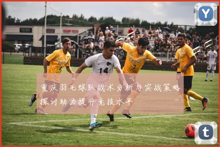 重庆羽毛球队战术分析与实战策略探讨助力提升竞技水平