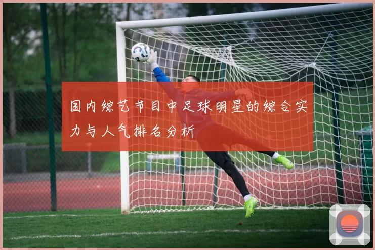 国内综艺节目中足球明星的综合实力与人气排名分析