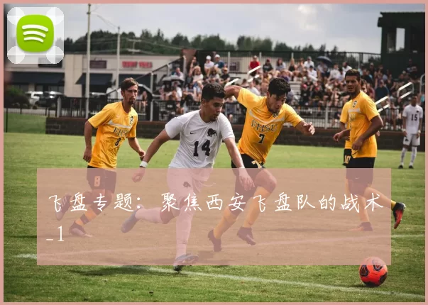 飞盘专题：聚焦西安飞盘队的战术_1