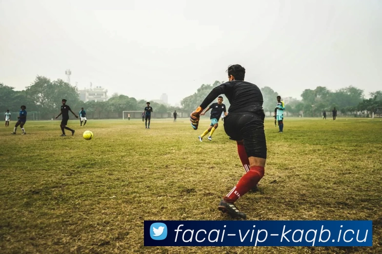 开云体育平台生态图